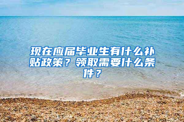 现在应届毕业生有什么补贴政策？领取需要什么条件？