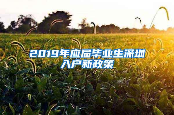 2019年应届毕业生深圳入户新政策