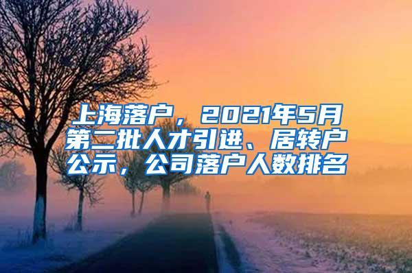 上海落户，2021年5月第二批人才引进、居转户公示，公司落户人数排名