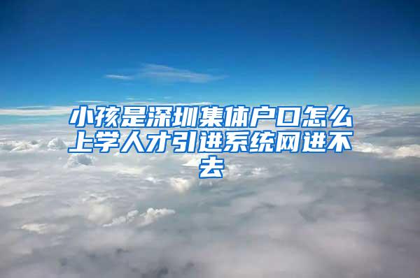 小孩是深圳集体户口怎么上学人才引进系统网进不去