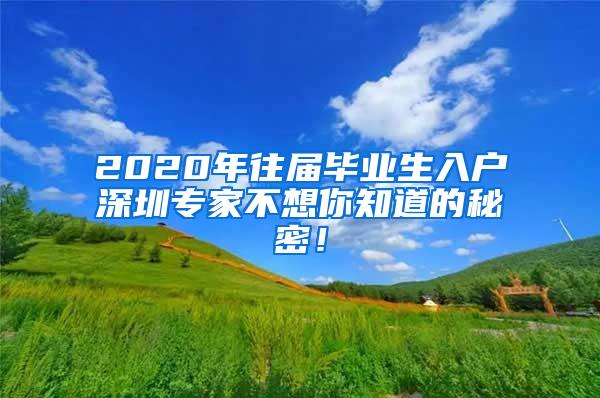 2020年往届毕业生入户深圳专家不想你知道的秘密！