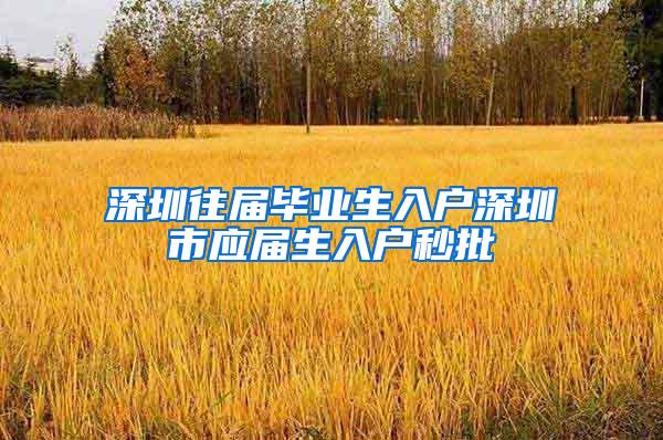 深圳往届毕业生入户深圳市应届生入户秒批