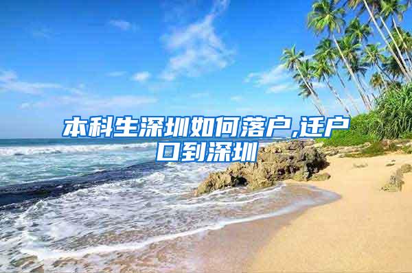 本科生深圳如何落户,迁户口到深圳