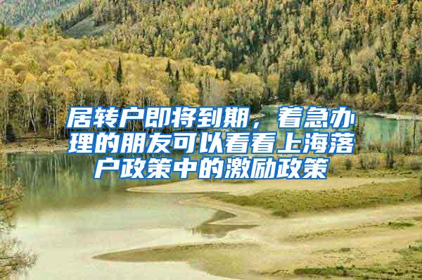 居转户即将到期，着急办理的朋友可以看看上海落户政策中的激励政策