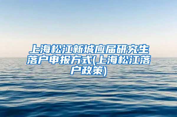 上海松江新城应届研究生落户申报方式(上海松江落户政策)