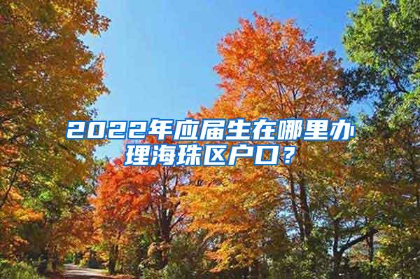 2022年应届生在哪里办理海珠区户口？