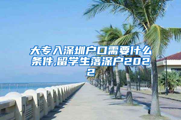 大专入深圳户口需要什么条件,留学生落深户2022