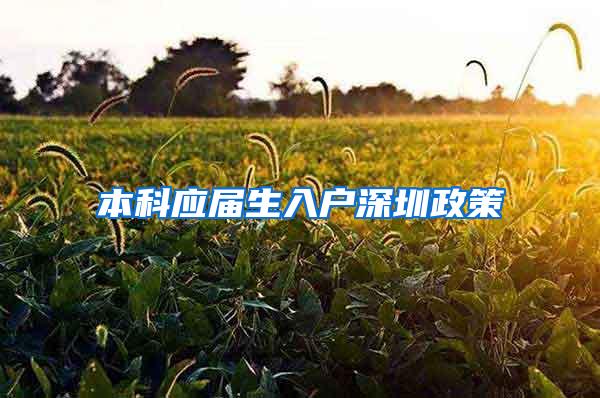 本科应届生入户深圳政策