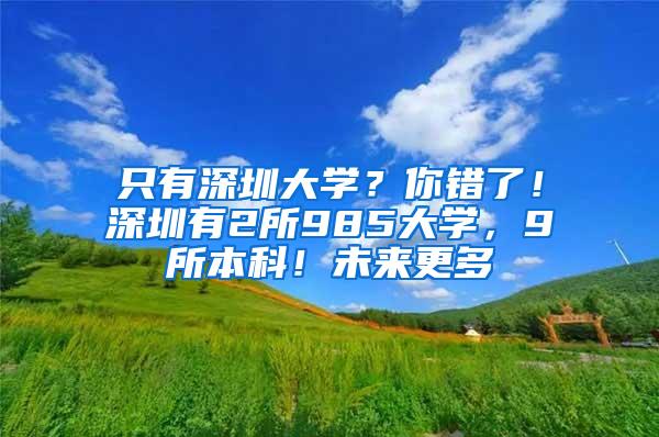 只有深圳大学？你错了！深圳有2所985大学，9所本科！未来更多