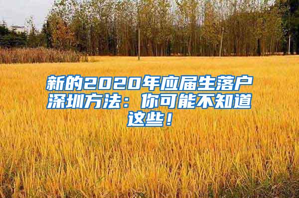 新的2020年应届生落户深圳方法：你可能不知道这些！