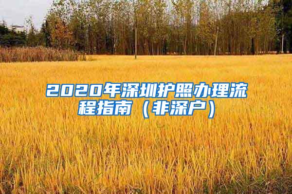 2020年深圳护照办理流程指南（非深户）