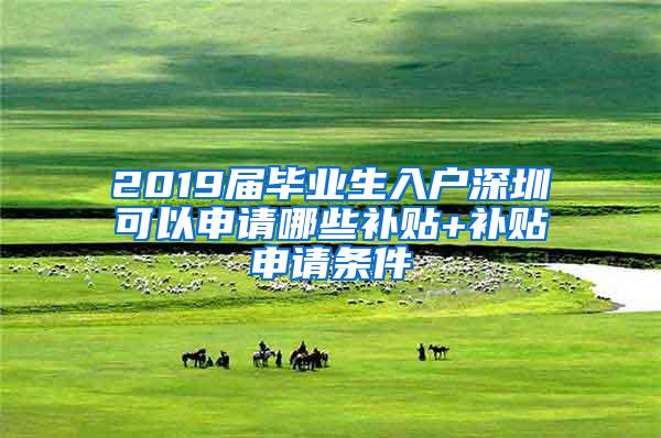 2019届毕业生入户深圳可以申请哪些补贴+补贴申请条件