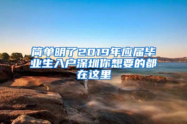 简单明了2019年应届毕业生入户深圳你想要的都在这里