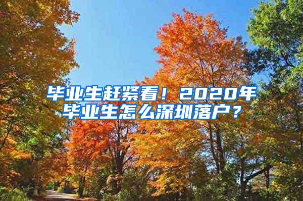 毕业生赶紧看！2020年毕业生怎么深圳落户？