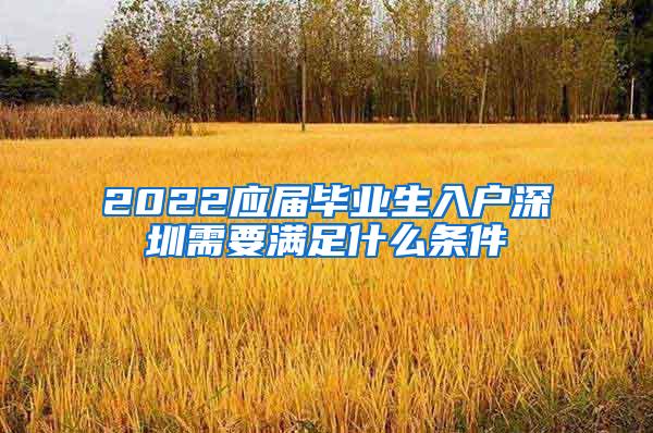 2022应届毕业生入户深圳需要满足什么条件