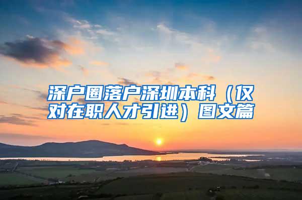 深户圈落户深圳本科（仅对在职人才引进）图文篇