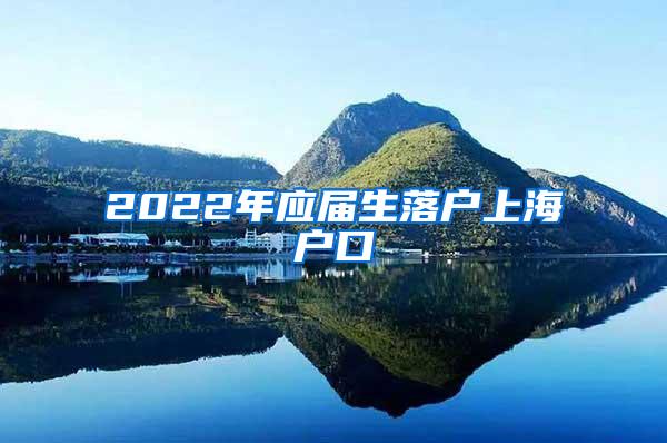 2022年应届生落户上海户口