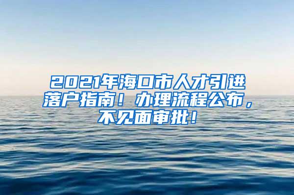 2021年海口市人才引进落户指南！办理流程公布，不见面审批！