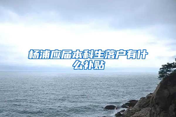 杨浦应届本科生落户有什么补贴