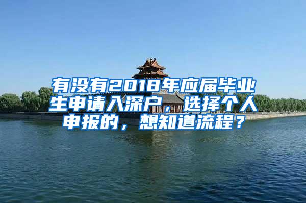 有没有2018年应届毕业生申请入深户，选择个人申报的，想知道流程？