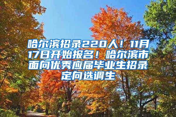 哈尔滨招录220人！11月17日开始报名！哈尔滨市面向优秀应届毕业生招录定向选调生