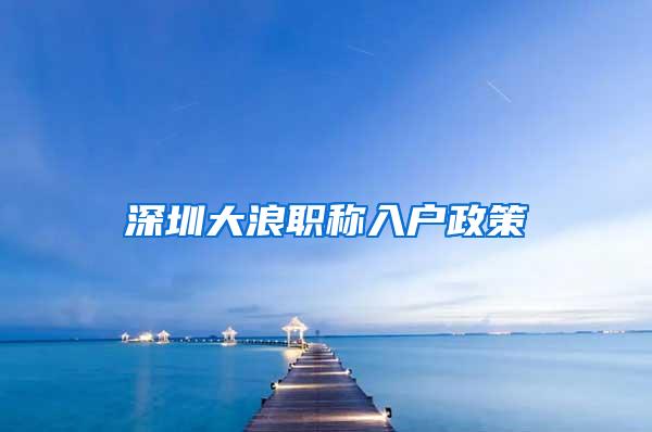 深圳大浪职称入户政策