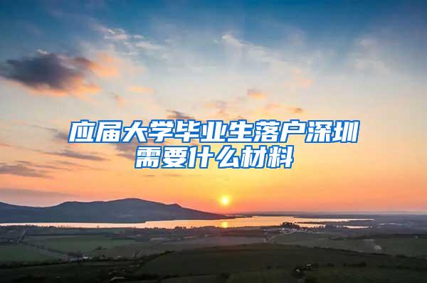 应届大学毕业生落户深圳需要什么材料