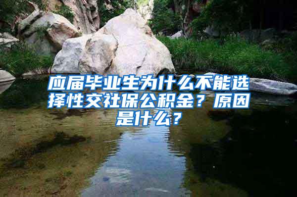 应届毕业生为什么不能选择性交社保公积金？原因是什么？