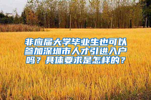 非应届大学毕业生也可以参加深圳市人才引进入户吗？具体要求是怎样的？