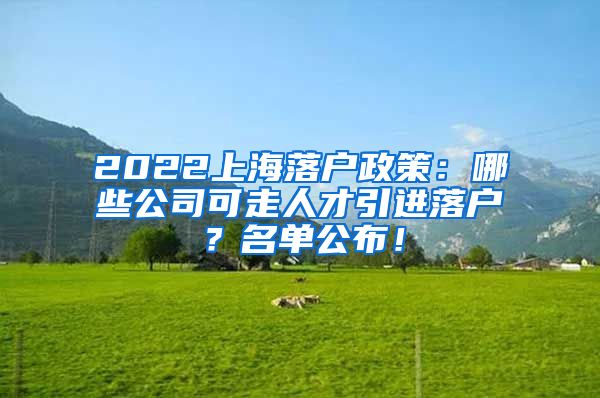 2022上海落户政策：哪些公司可走人才引进落户？名单公布！