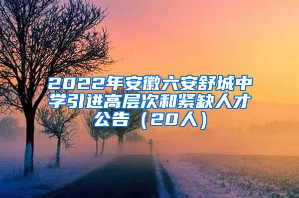 2022年安徽六安舒城中学引进高层次和紧缺人才公告（20人）