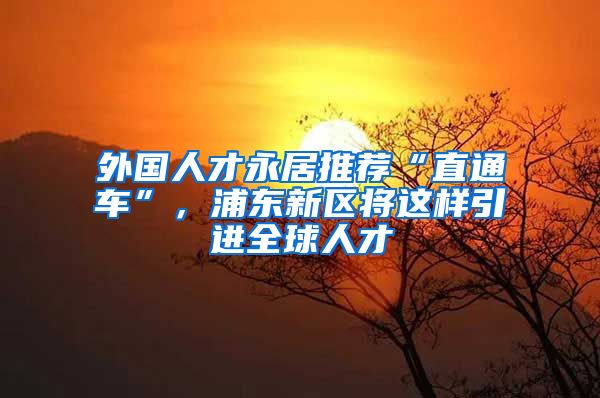 外国人才永居推荐“直通车”，浦东新区将这样引进全球人才