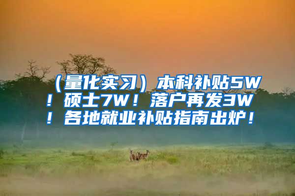 （量化实习）本科补贴5W！硕士7W！落户再发3W！各地就业补贴指南出炉！