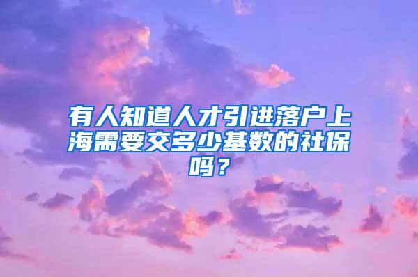 有人知道人才引进落户上海需要交多少基数的社保吗？