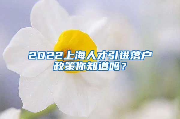 2022上海人才引进落户政策你知道吗？