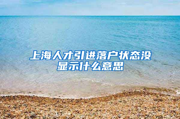 上海人才引进落户状态没显示什么意思