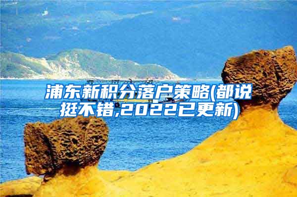 浦东新积分落户策略(都说挺不错,2022已更新)