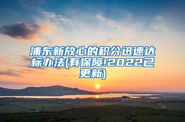 浦东新放心的积分迅速达标办法(有保障!2022已更新)