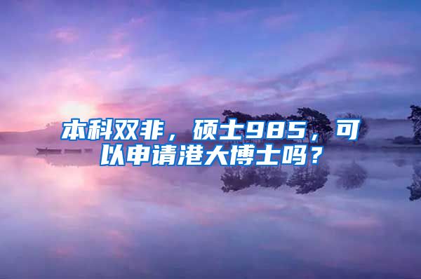 本科双非，硕士985，可以申请港大博士吗？