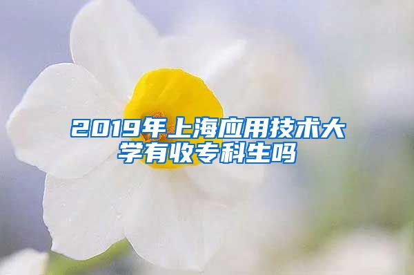 2019年上海应用技术大学有收专科生吗