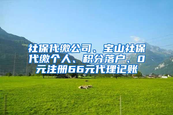 社保代缴公司、宝山社保代缴个人、积分落户、0元注册66元代理记账