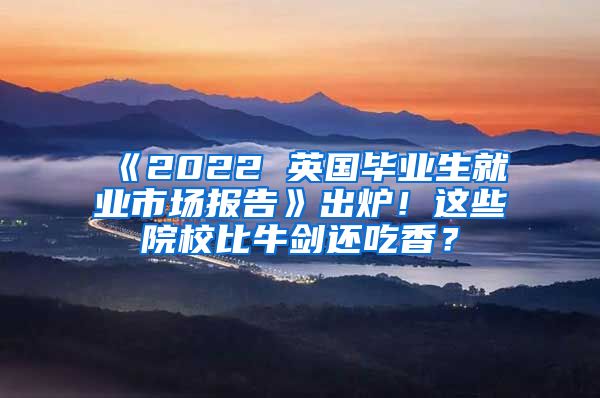 《2022 英国毕业生就业市场报告》出炉！这些院校比牛剑还吃香？