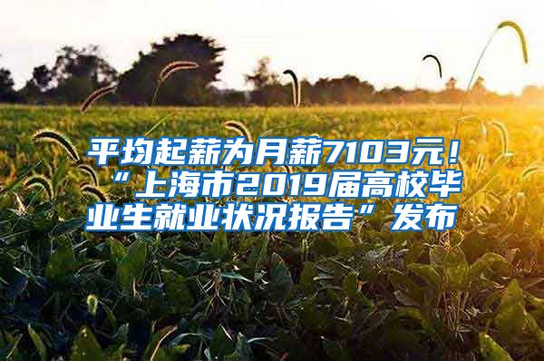 平均起薪为月薪7103元！“上海市2019届高校毕业生就业状况报告”发布