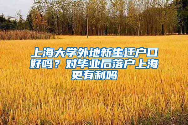 上海大学外地新生迁户口好吗？对毕业后落户上海更有利吗