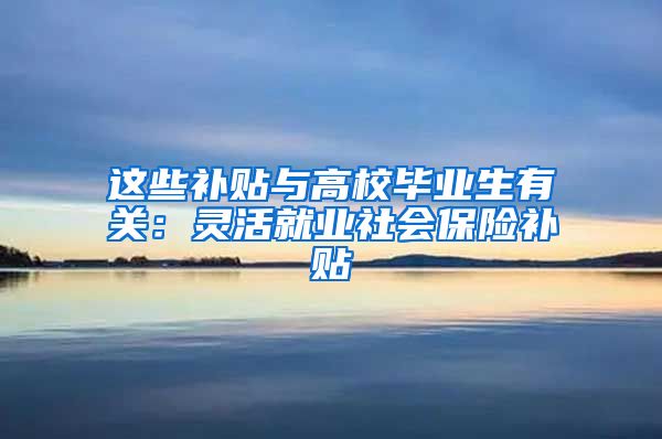 这些补贴与高校毕业生有关：灵活就业社会保险补贴