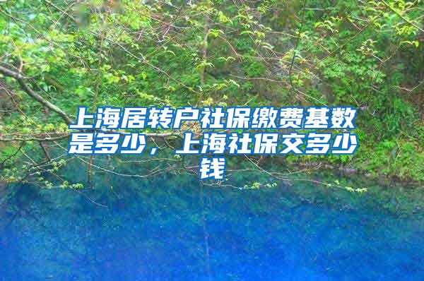 上海居转户社保缴费基数是多少，上海社保交多少钱