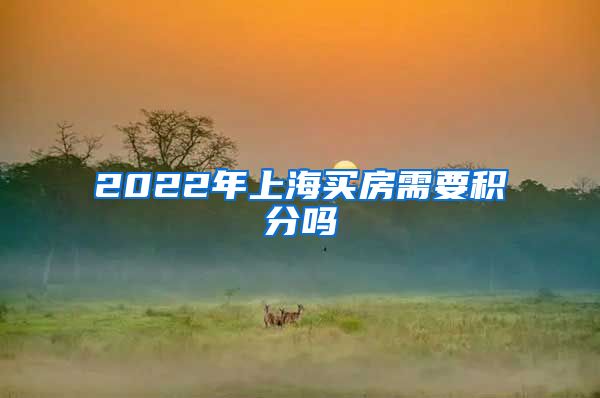 2022年上海买房需要积分吗