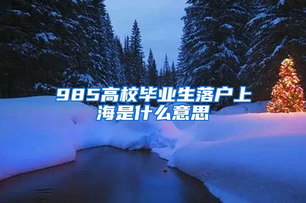 985高校毕业生落户上海是什么意思