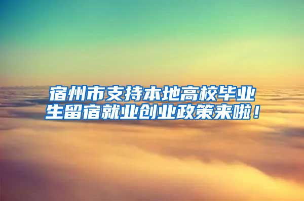 宿州市支持本地高校毕业生留宿就业创业政策来啦！