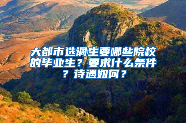 大都市选调生要哪些院校的毕业生？要求什么条件？待遇如何？